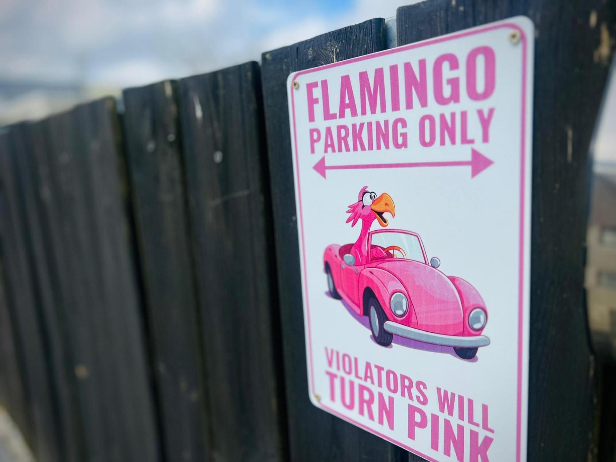 Flamingo studios Schoondijke Exterior foto